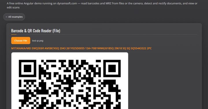 在线 Angular 条码 / MRZ / 文档扫描器界面截图